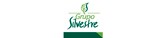 Logotipo de Grupo Silvestre