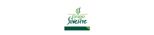 Logotipo De Groupo Silvestre